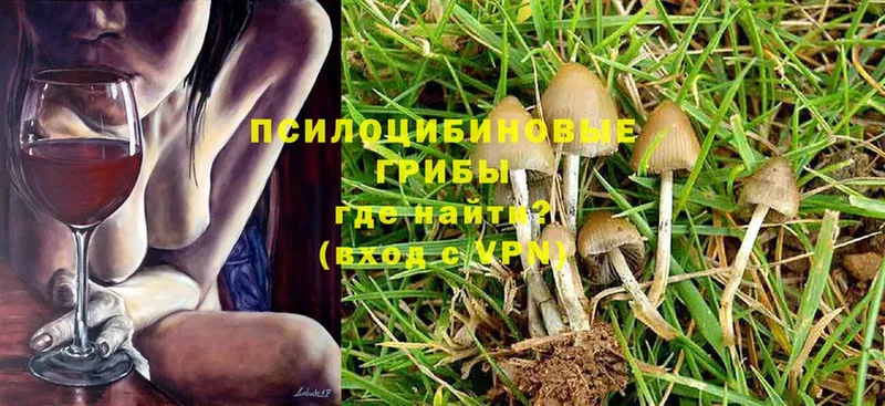 Галлюциногенные грибы Cubensis  blacksprut сайт  Дудинка 